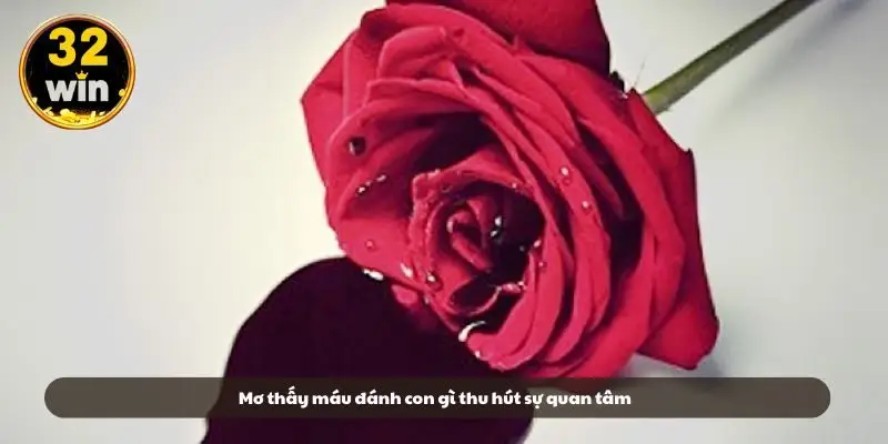 Mơ thấy máu đánh con gì thu hút sự quan tâm