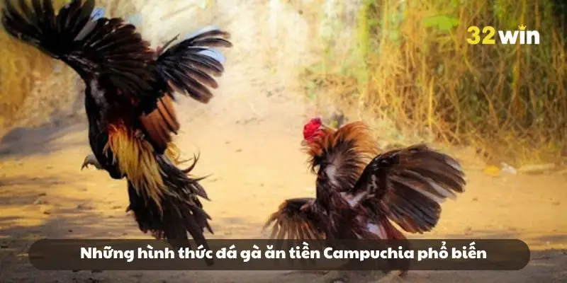 Những hình thức đá gà ăn tiền Campuchia phổ biến