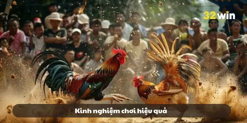 Kinh nghiệm chơi hiệu quả