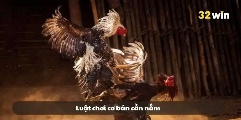 Luật chơi cơ bản cần nắm