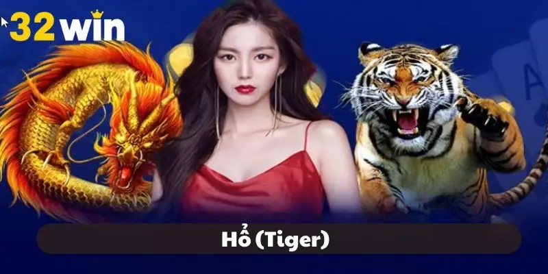 Đây là cửa được nhiều thành viên yêu thích, đối kháng mạnh